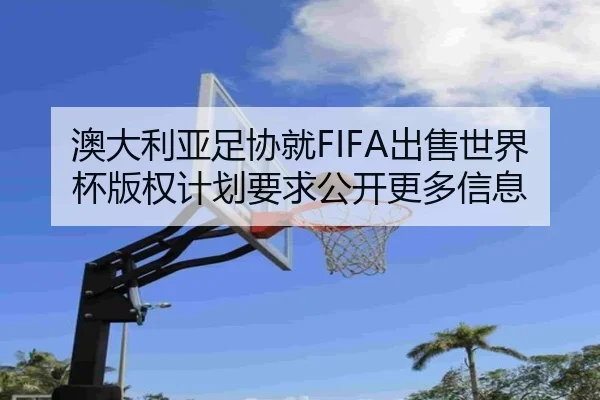 澳大利亚足协就FIFA出售世界杯版权计划要求公开更多信息